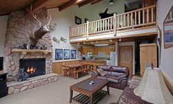 Red Pine Cabin - Woodland view.